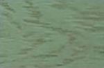 Морилка Tinte Pastello (250мл) цв.130 (зеленая трава) Borma Wachs 3210VE