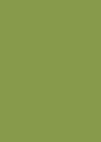 Пластик  Эггер Зелёный киви U626 ST9 0,8 мм 2800*1310 мм