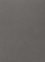 Пластик  Эггер Металлик платиновый серый F463 ST20 0,8 мм 2800*1310 мм