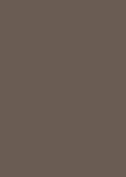 Пластик  Эггер Трюфель коричневый U748 ST9 0,8 мм 2800*1310 мм