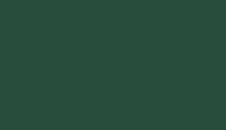 240000 Акриловая эмаль цветная 918 Зеленый 28 мл
