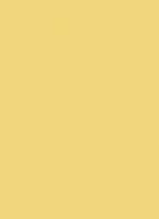 Пластик  Эггер Шафрановый жёлтый U140 ST9 0,8 мм 2800*1310 мм
