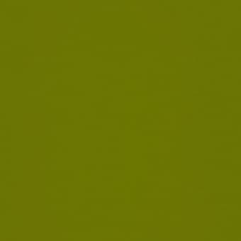 Кромка Олива зеленая 645 / Y11 22*1 мм (глянец) AGT 2гр