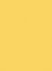 Пластик  Эггер Кукурузный жёлтый U146 ST9 0,8 мм 2800*1310 мм