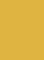 Пластик  Эггер Карри жёлтый U163 ST9 0,8 мм 2800*1310 мм