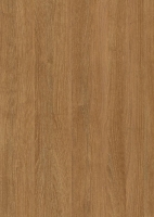 Пластик  Эггер Робиния Брэнсон натуральная коричневая H1251 ST19 0,8 мм 2800*1310 мм