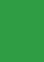 Пластик  Эггер Зелёный май U600 ST9 0,8 мм 2800*1310 мм