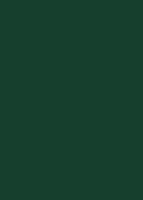 Пластик  Эггер Зелёный лес U606 ST9 0,8 мм 2800*1310 мм